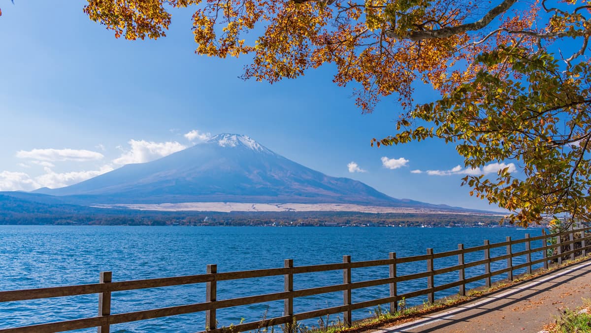 山中湖まで徒歩5分
